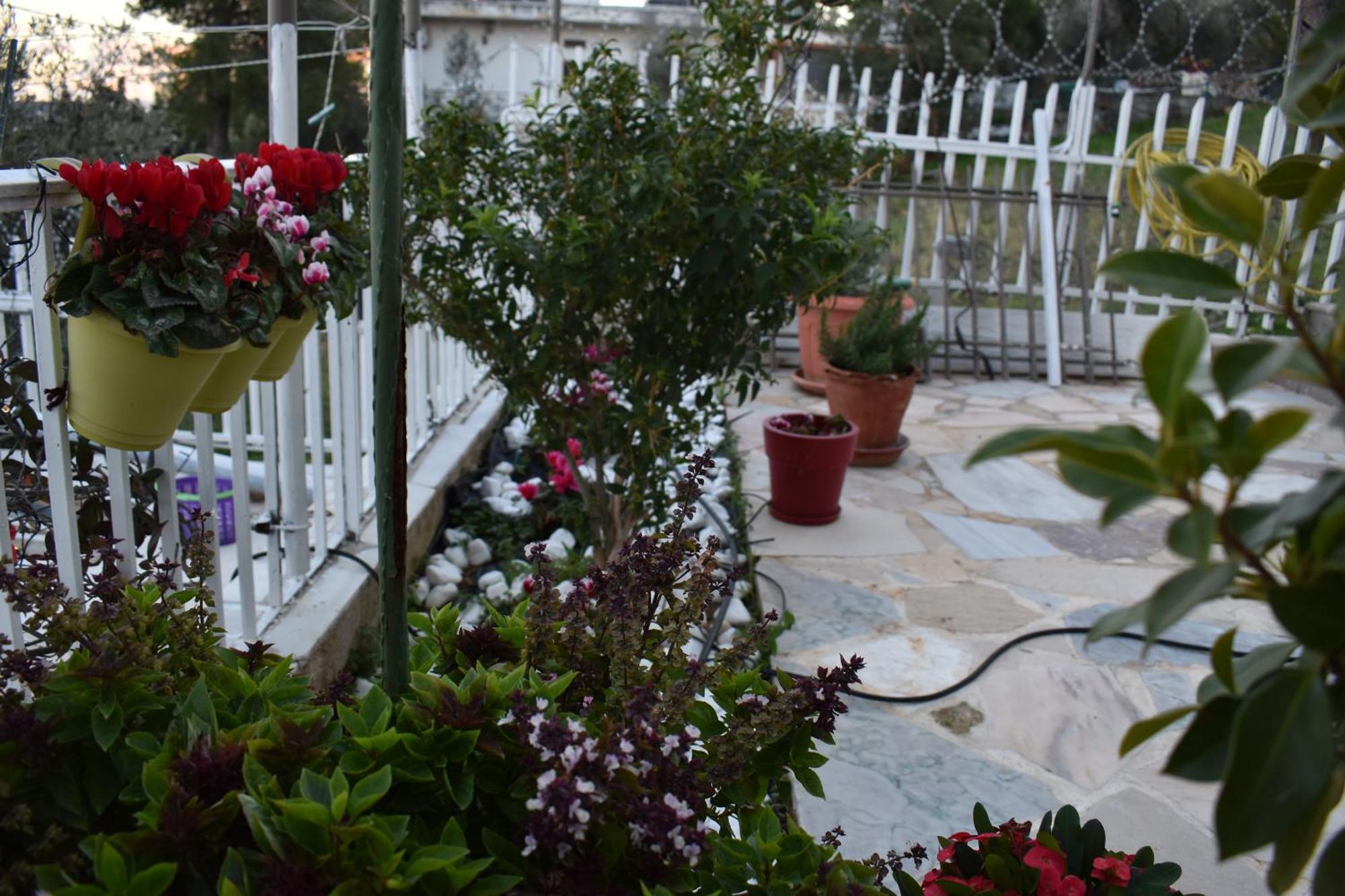 Panorama Γλυκά Νερά - Athens Apartment Exterior photo
